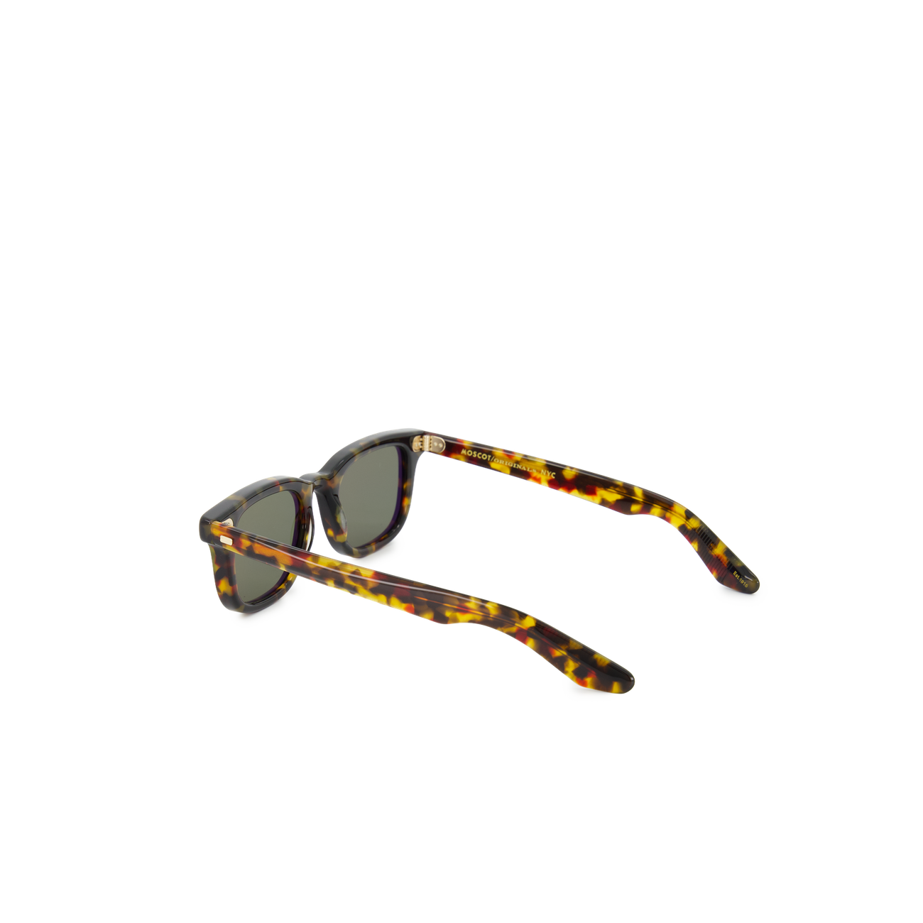 Moscot Klutz Sun Tortoise | Nitty Gritty