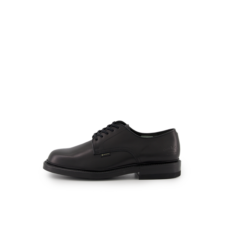 靴 REGAL Plain Toe Leather Shoes Regal Shoe & Co Plain-Toe GTX Black | Nitty Gritty