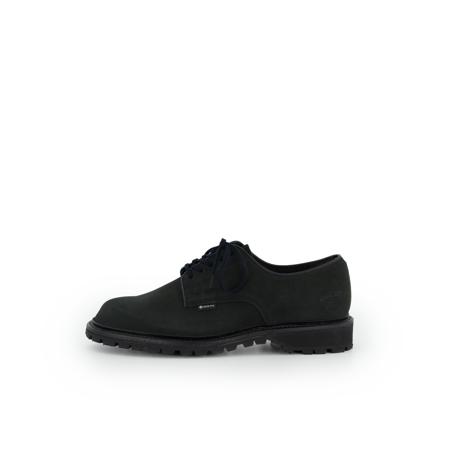 Regal Shoe & Co Plain Toe - GTX Suede Black | Nitty Gritty