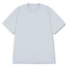 Lady White Co. Municipal T-Shirt - Pale Blue